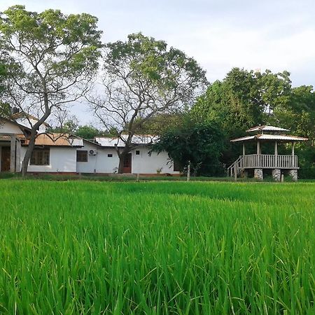 Willpattu Wild Watch Hotel Habawewa Kültér fotó