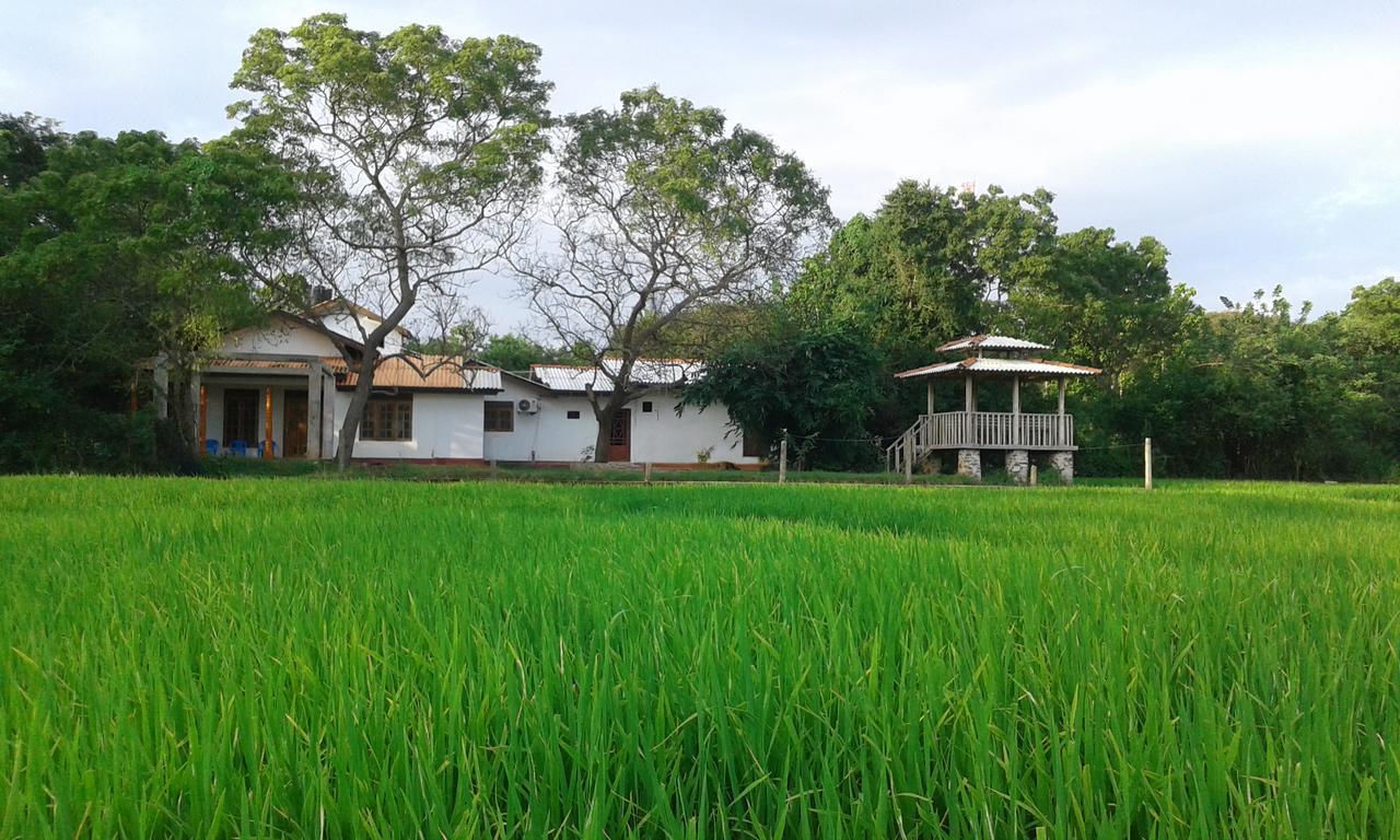 Willpattu Wild Watch Hotel Habawewa Kültér fotó