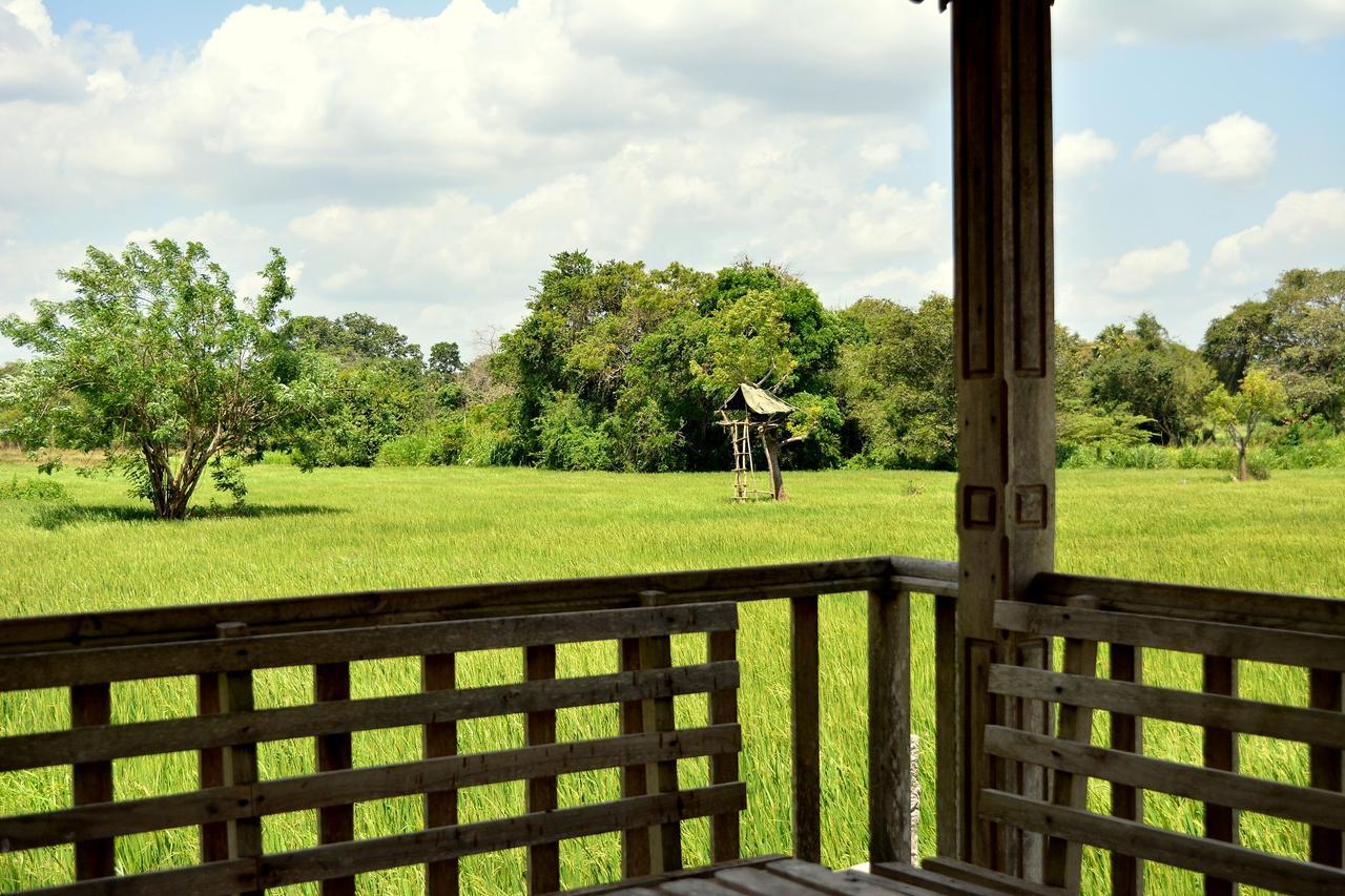 Willpattu Wild Watch Hotel Habawewa Kültér fotó