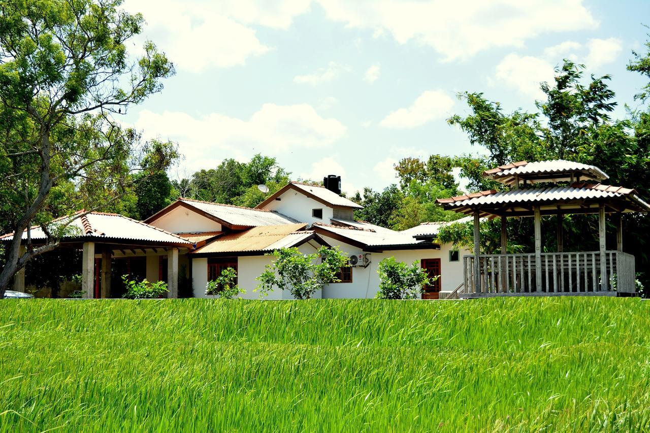 Willpattu Wild Watch Hotel Habawewa Kültér fotó